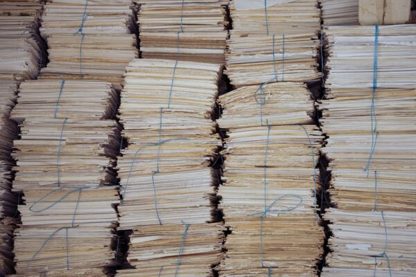 Gaceta Oficial: el rezago entre la firma y la publicación en 2026